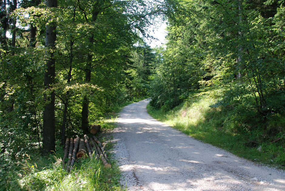 Forstweg Hengstweg