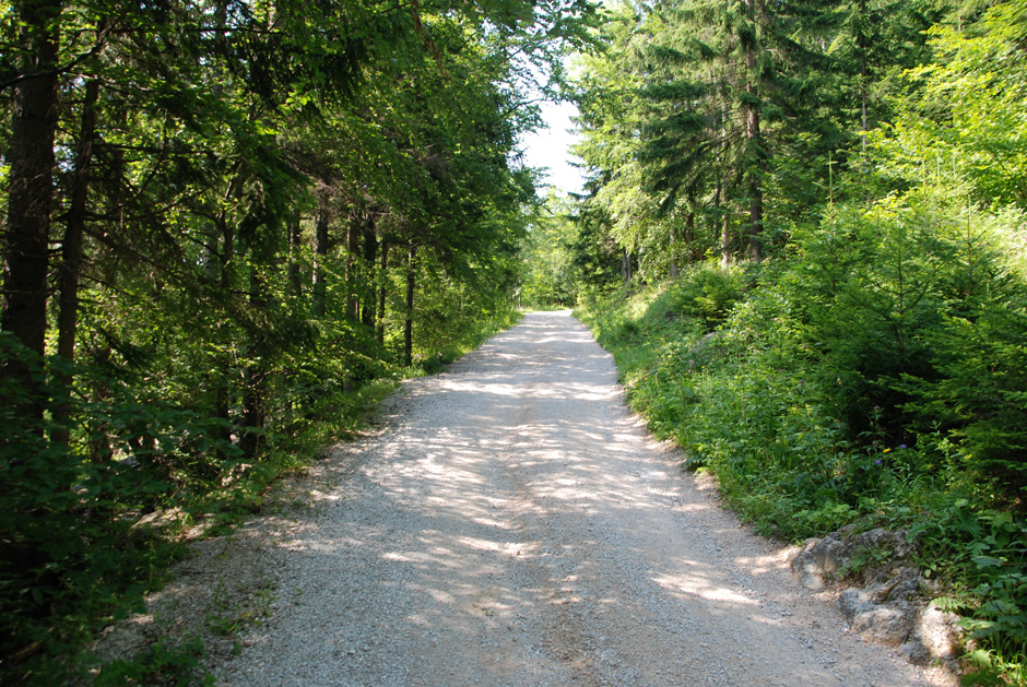 Forstweg Hengstweg