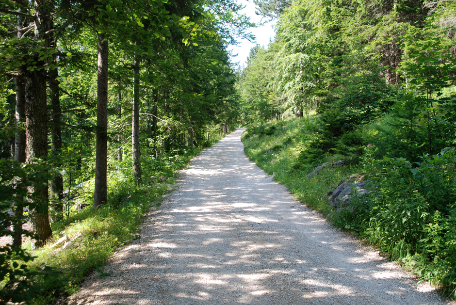 Forstweg Hengstweg