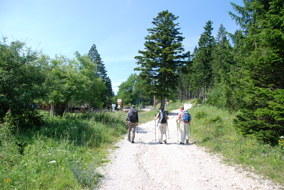 Forstweg Hengstweg