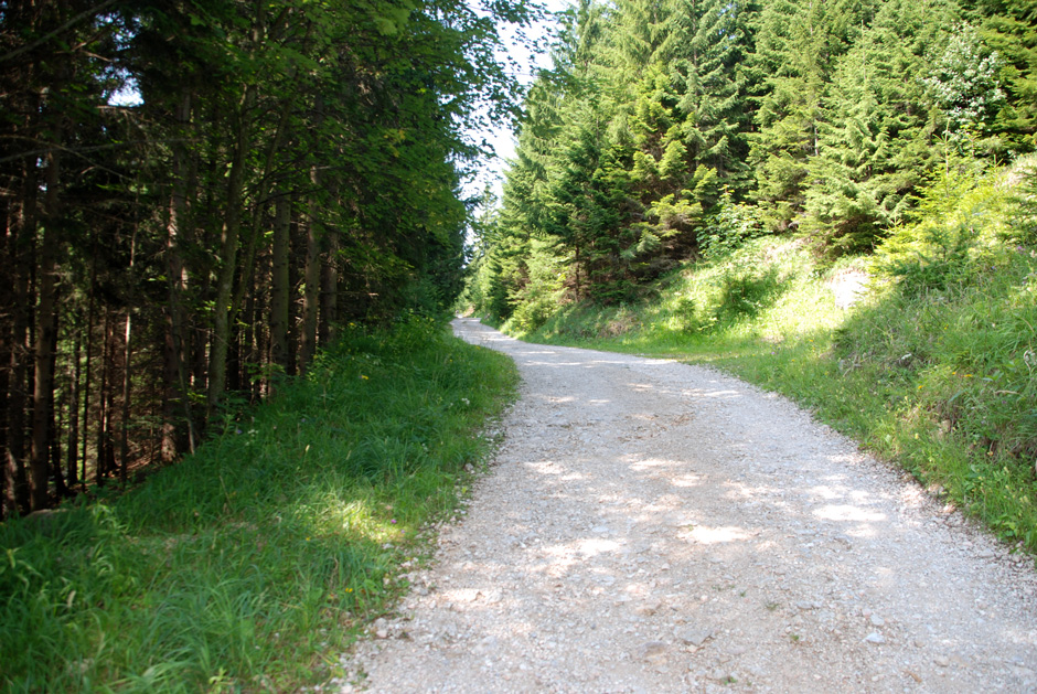 Forstweg