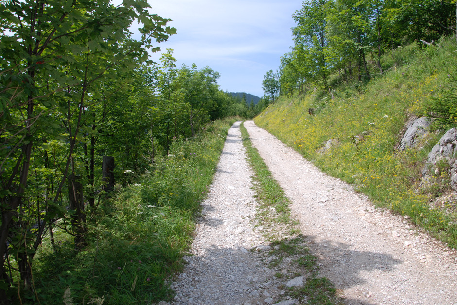 Forstweg