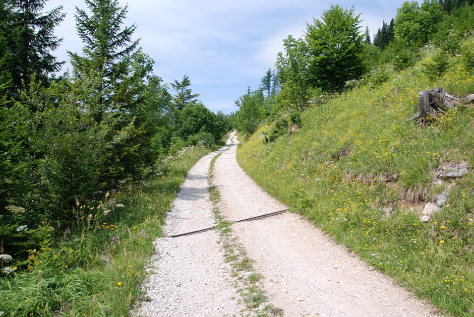 Forstweg