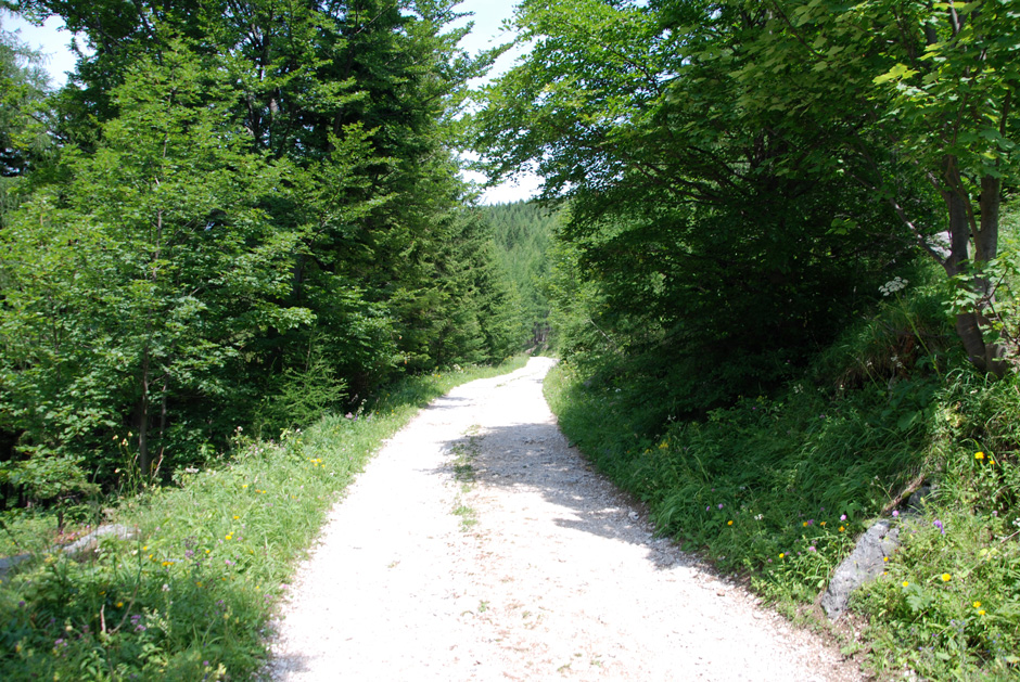 Forstweg