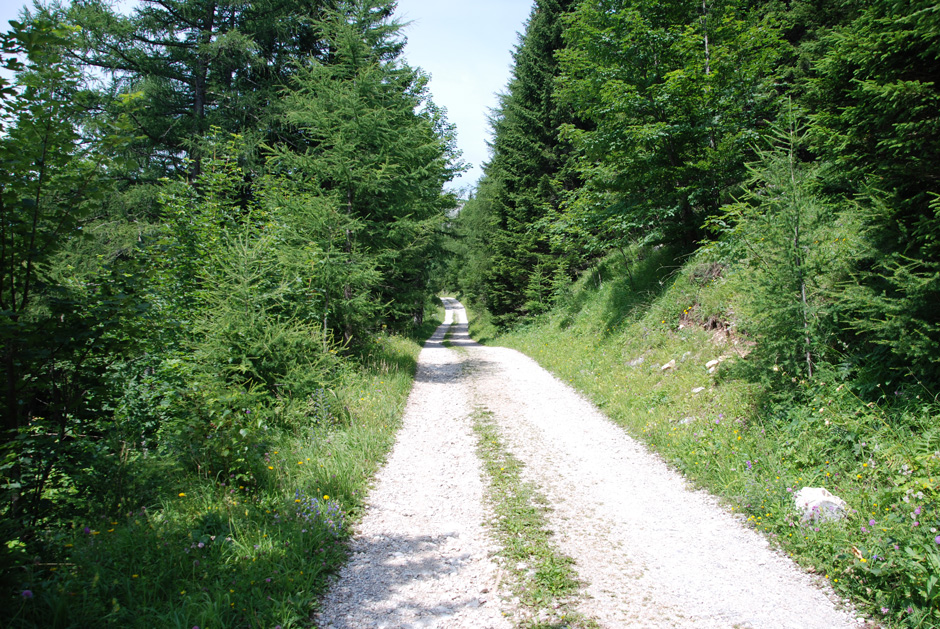 Forstweg