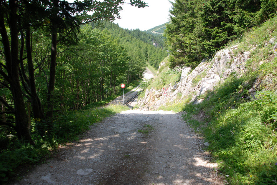 Forstweg überquert die Zahnradbahn