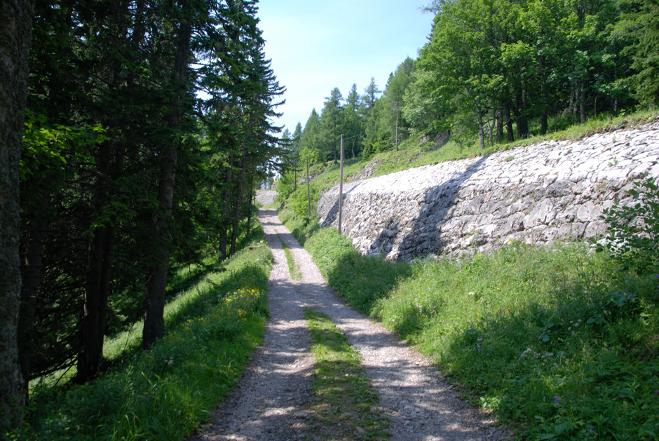 Forstweg
