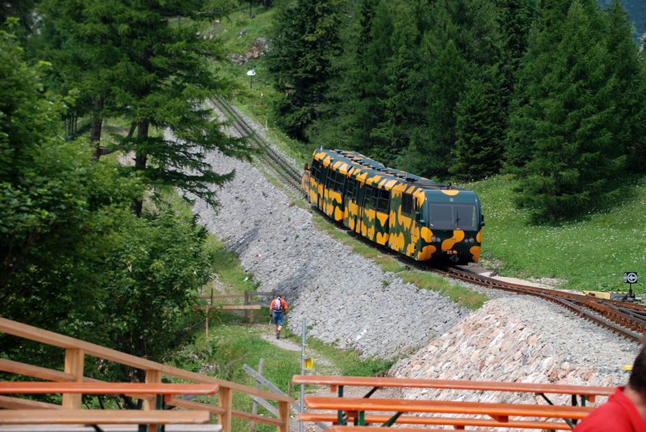 Wanderweg und Salamander