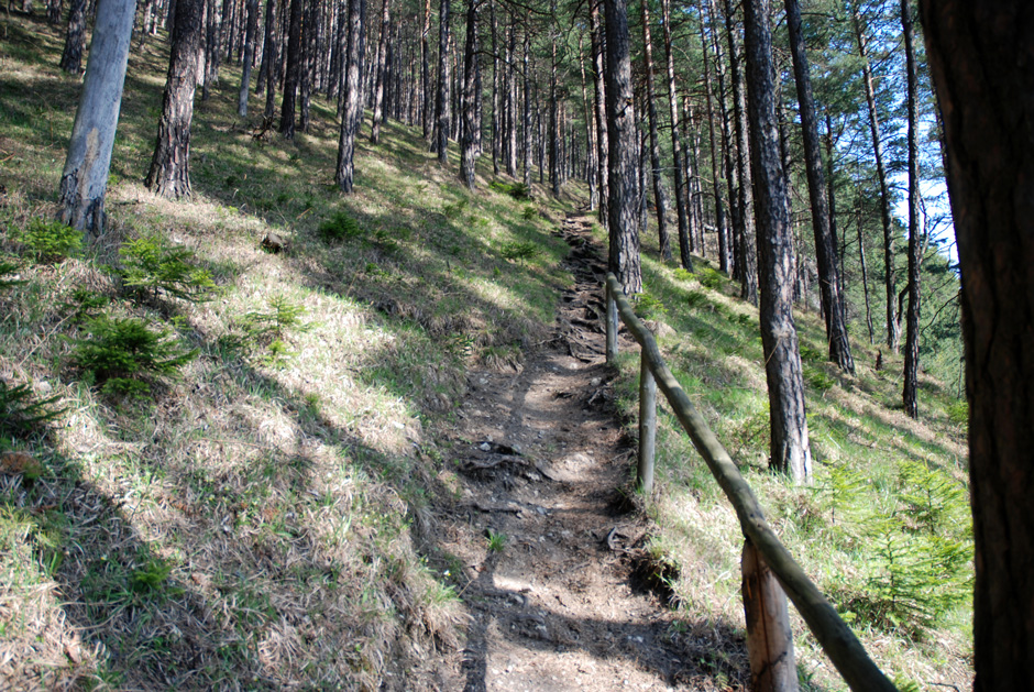 Wanderweg, steilstes Stück
