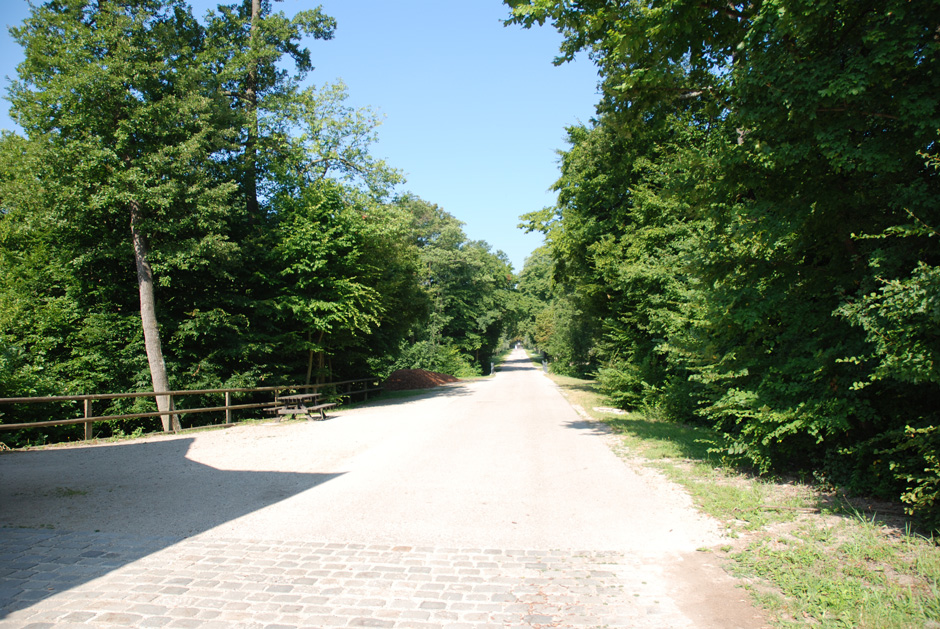 Fahrweg zur Hermesvilla