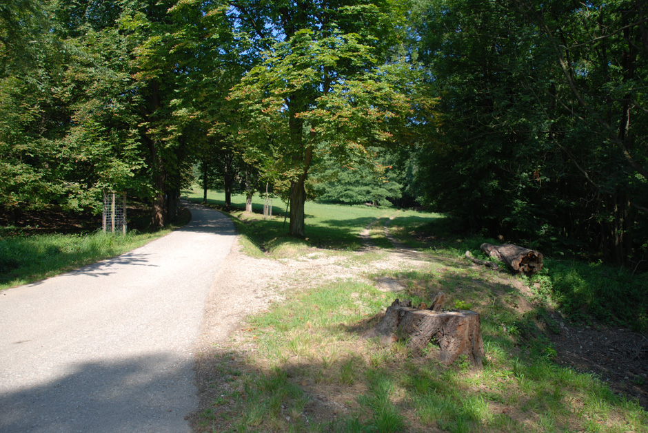 Weg nach Hirschgstemm mit Abkürzung