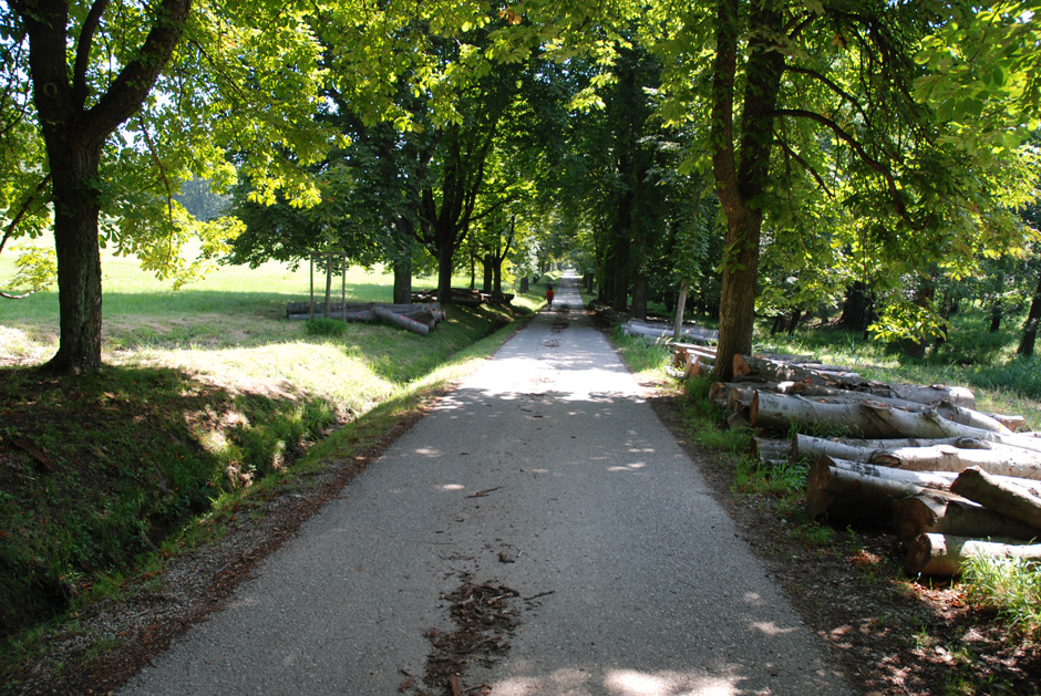 Weg nach Hirschgstemm