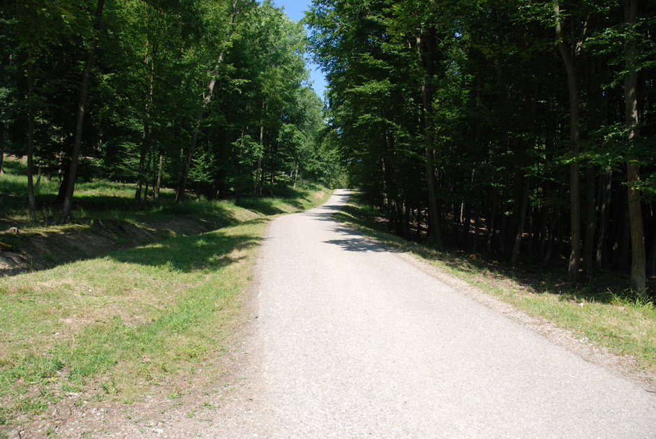 Weg nach Hirschgstemm