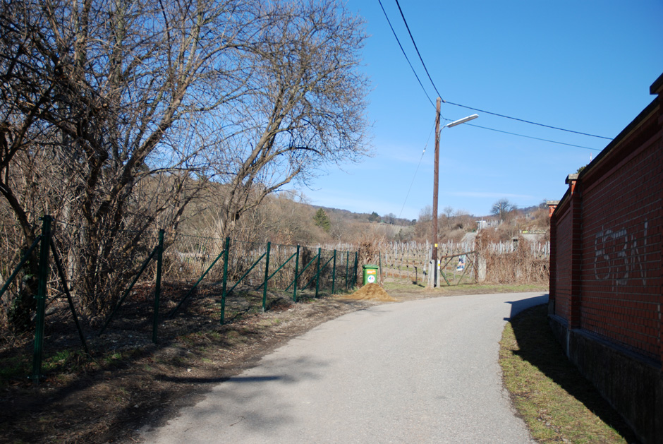Wildgrubgasse