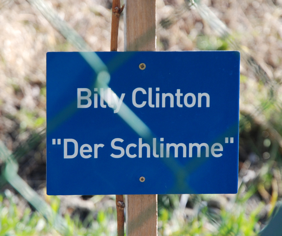 Billy Clinton 