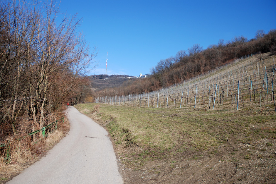 Wildgrubgasse und ORF-Sender Kahlenberg