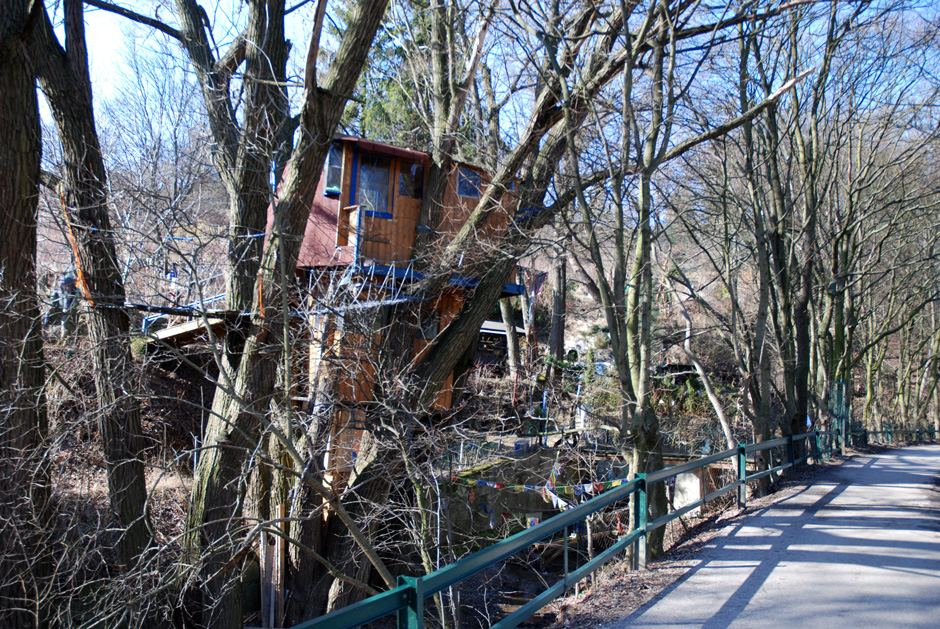Wildgrubengasse und Baumhaus