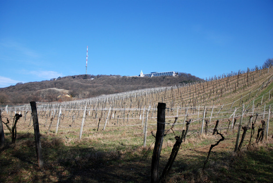 Kahlenberg