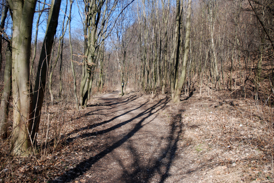 Wildgrube im Muckental