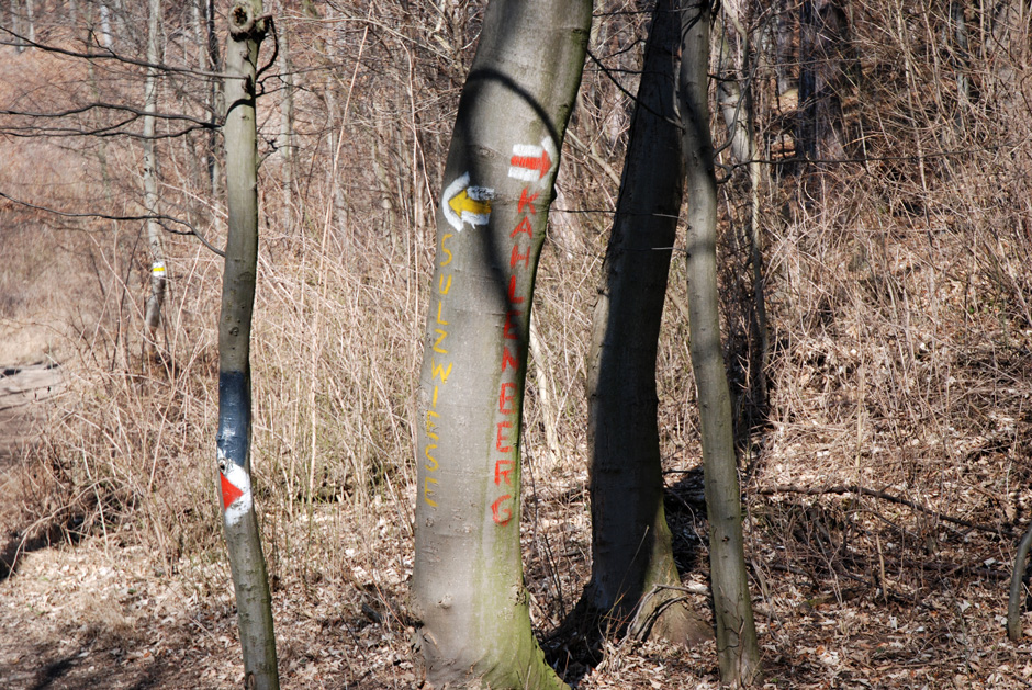 Wegweiser links zur Sulzwiese