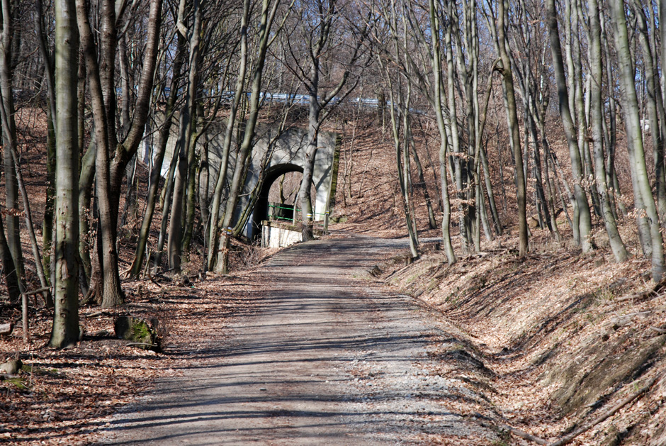 Wildgrube; Unterführung der Höhenstraße