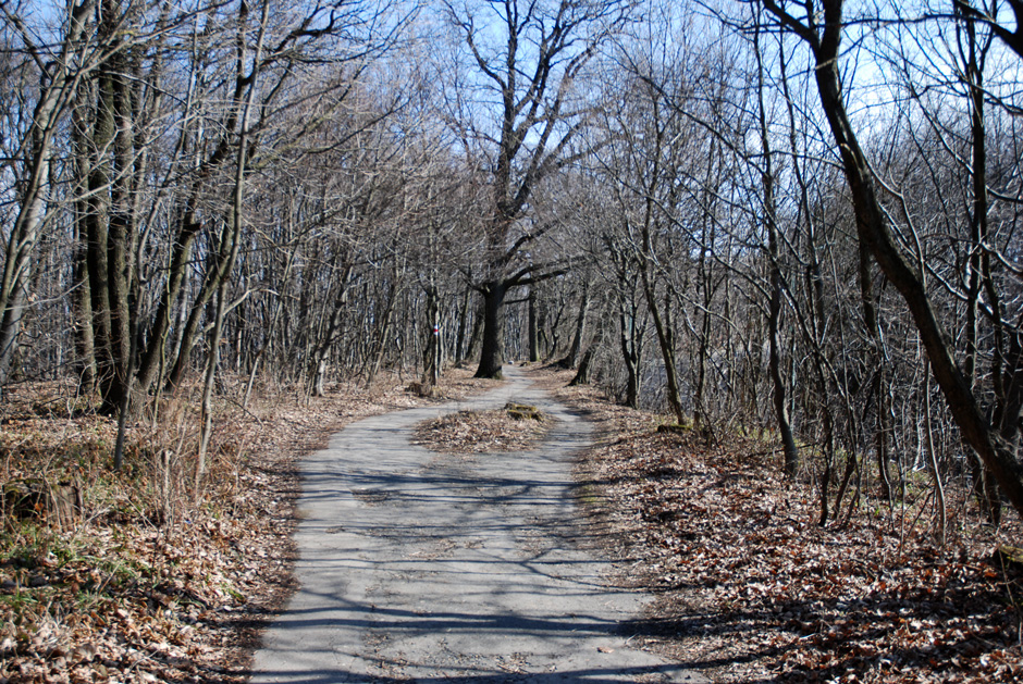 Gehweg neben der Höhenstraße