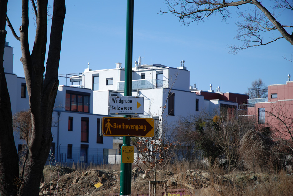 Zahnradbahnstraße