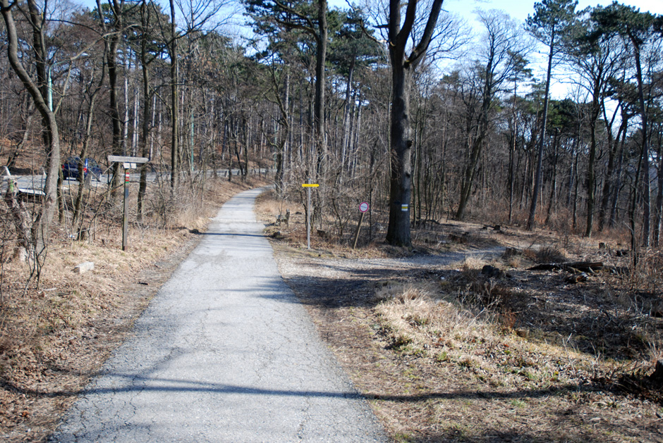 Gehweg nach rechts; Stadtwanderweg 1