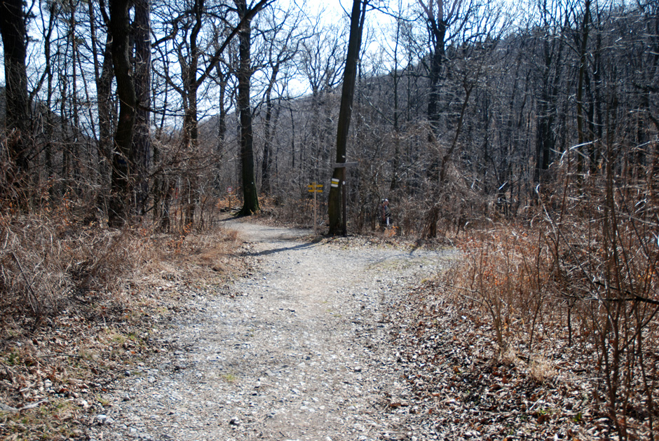 Gehweg nach rechts; Stadtwanderweg 1