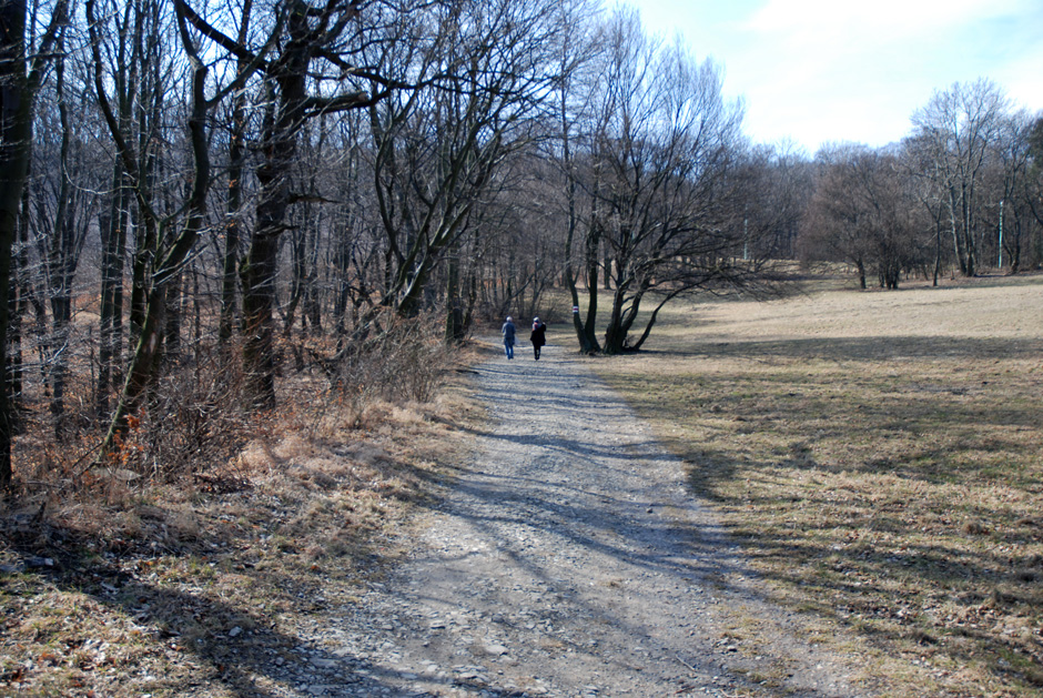 Gehweg Stadtwanderweg 1