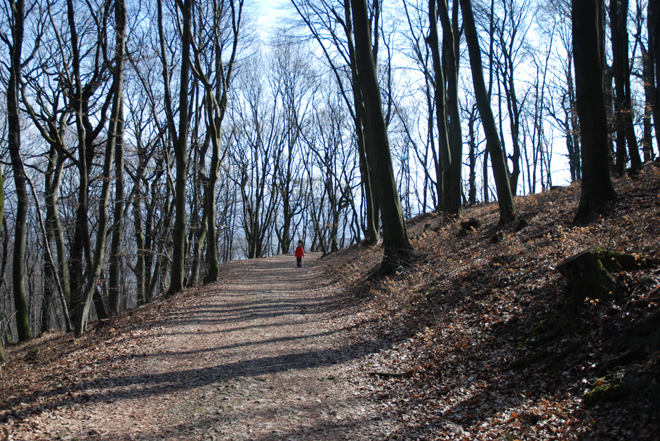 Gehweg Stadtwanderweg 1