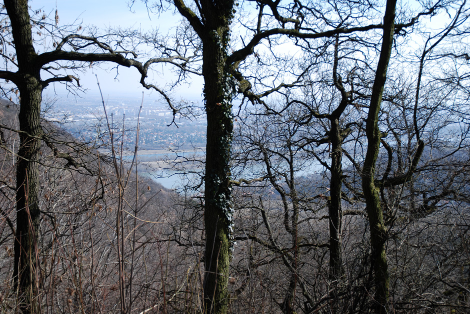 Donau und Neue Donau