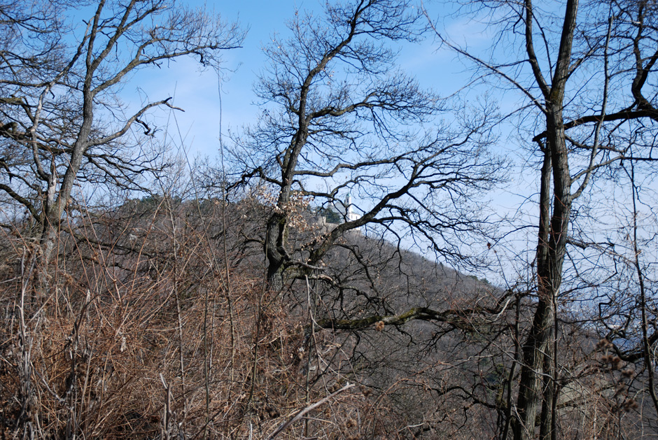 Leopoldsberg