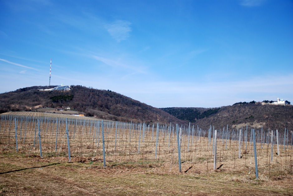 Kahlenberg und Leopoldsberg