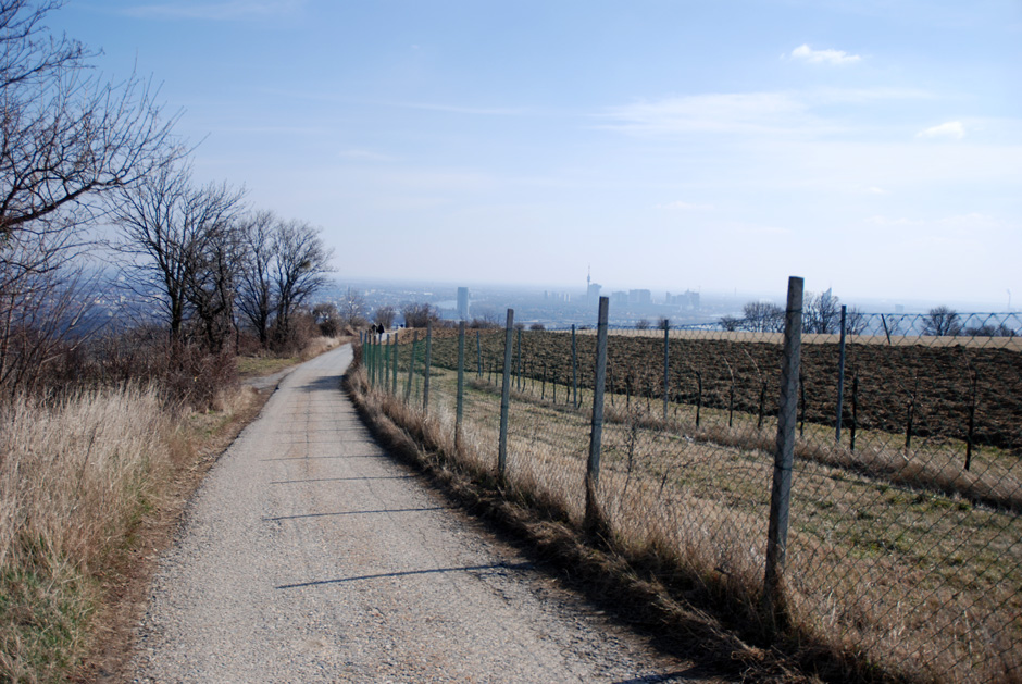 Eichelhofweg