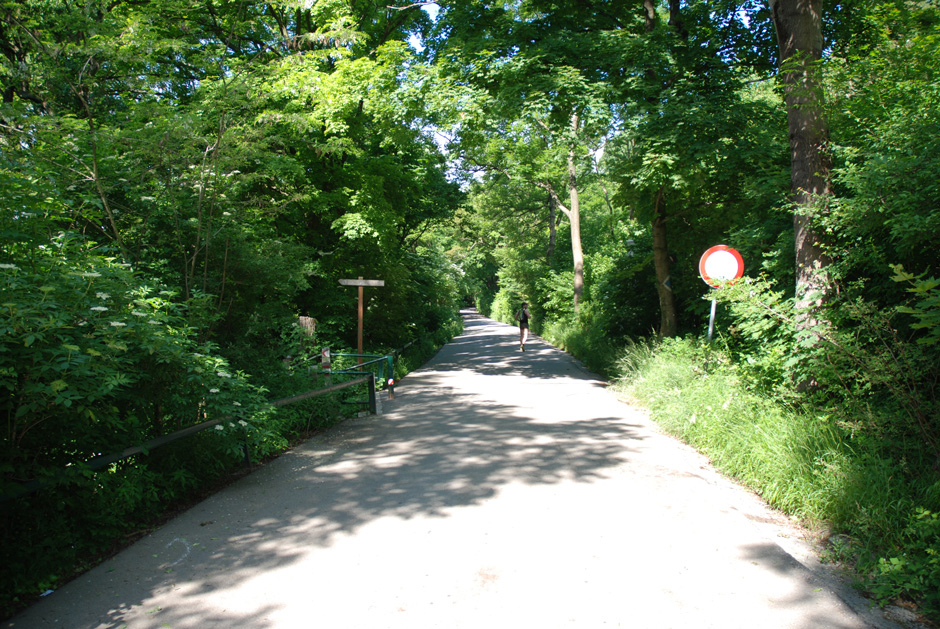 Stadtwanderweg nach Kahlenbergerdorf