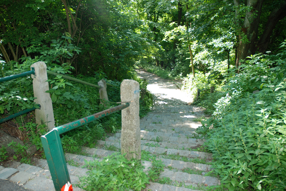 Stadtwanderweg nach Kahlenbergerdorf