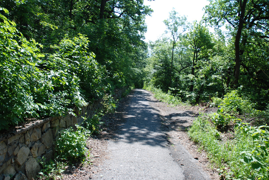 Stadtwanderweg nach Kahlenbergerdorf