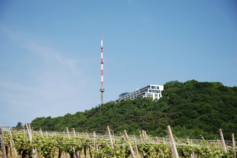 Kahlenberg