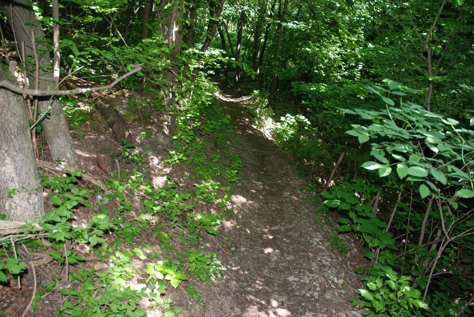 Stadtwanderweg nach Kahlenbergerdorf