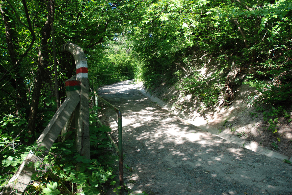 Nasenweg