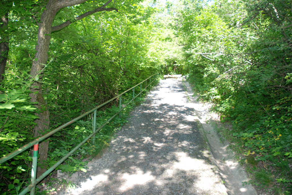 Nasenweg