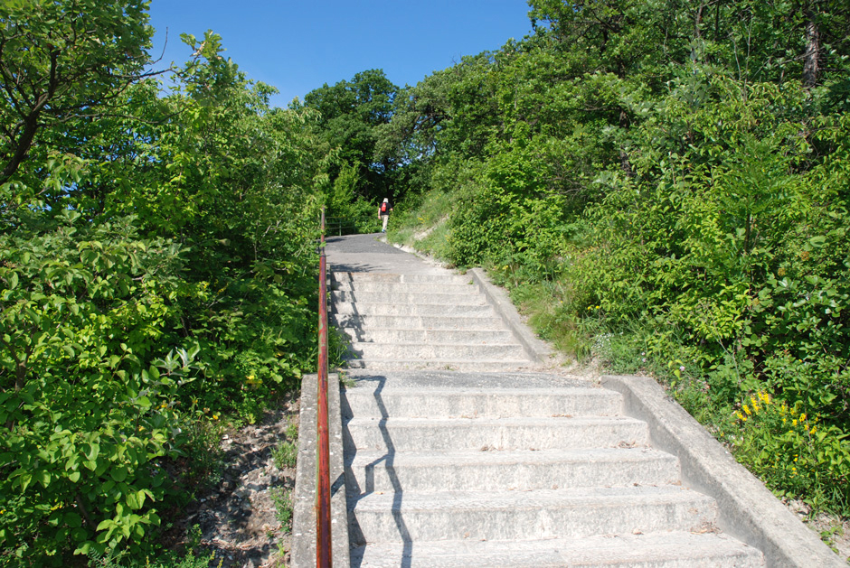 Nasenweg