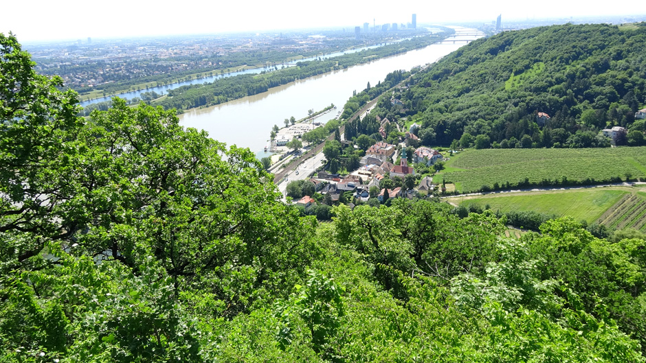 Rundblick vom Nasenweg