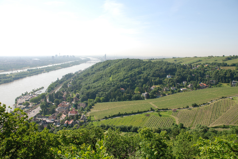 Rundblick vom Nasenweg