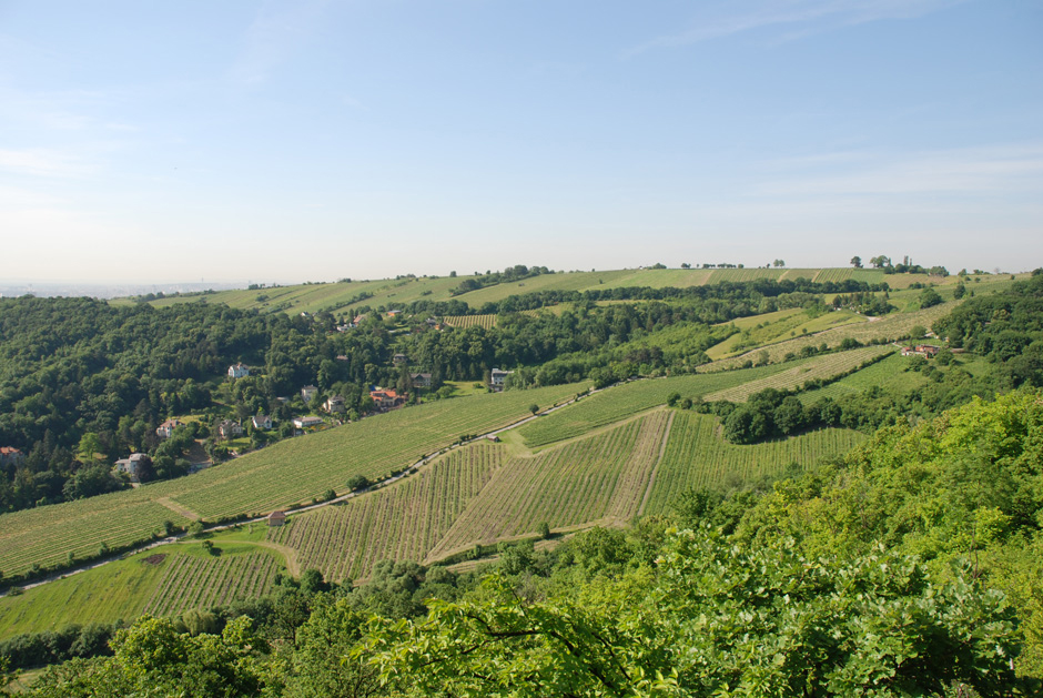 Rundblick vom Nasenweg