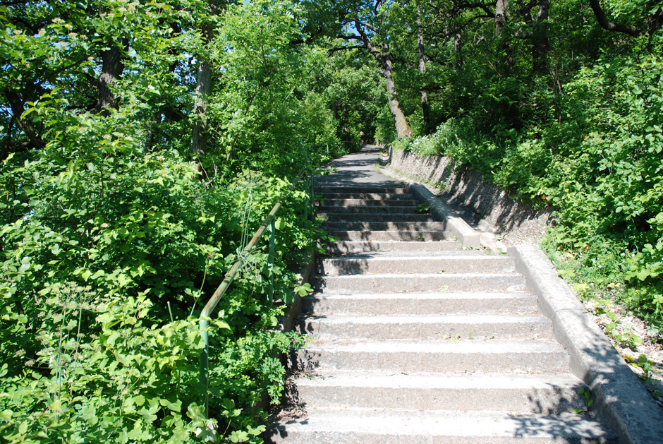 Nasenweg