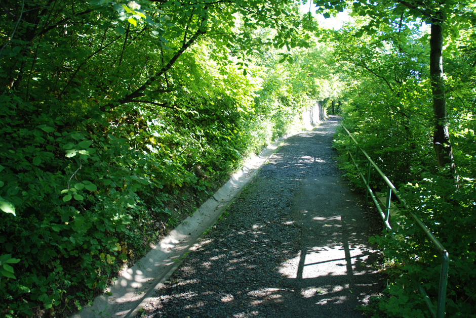 Nasenweg