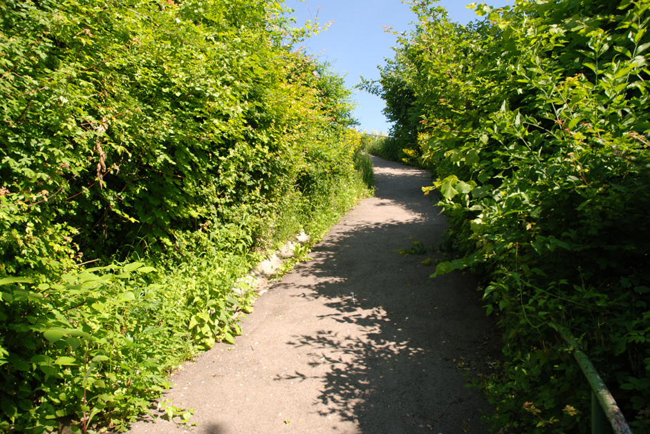 Nasenweg