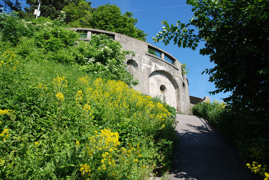 Aussichtsterasse Leopoldsberg von unten